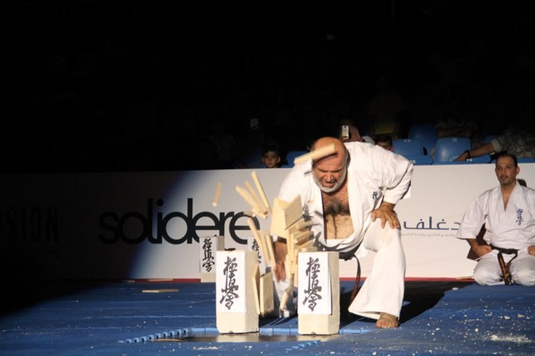 Martial Arts Festival